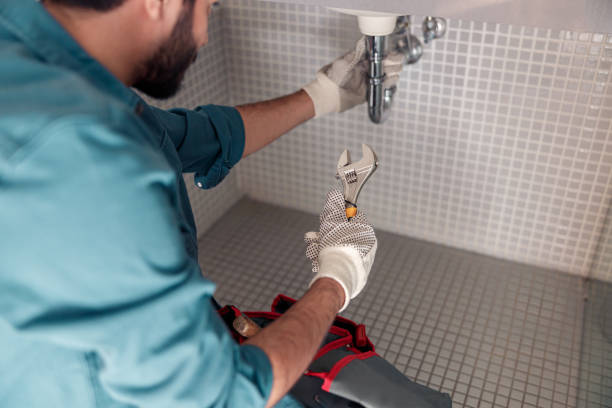 Best Drain Cleaning & Maintenance in Bloomington, IL